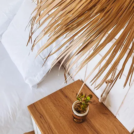 Captain Cook Ahoy * Praia da Lourinhã