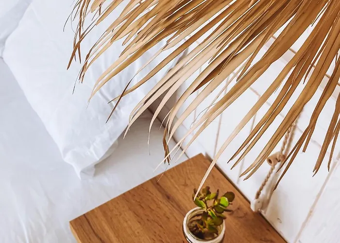 Captain Cook Ahoy * Praia da Lourinhã